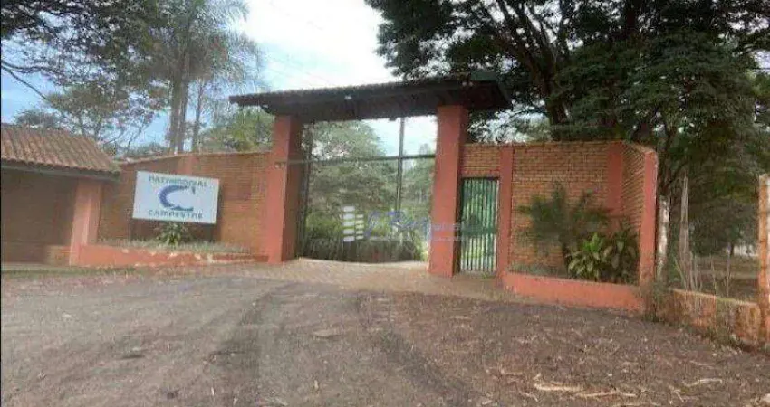 Chácara para venda em (l-10) de 500.00m² com 3 Quartos e 22 Garagens