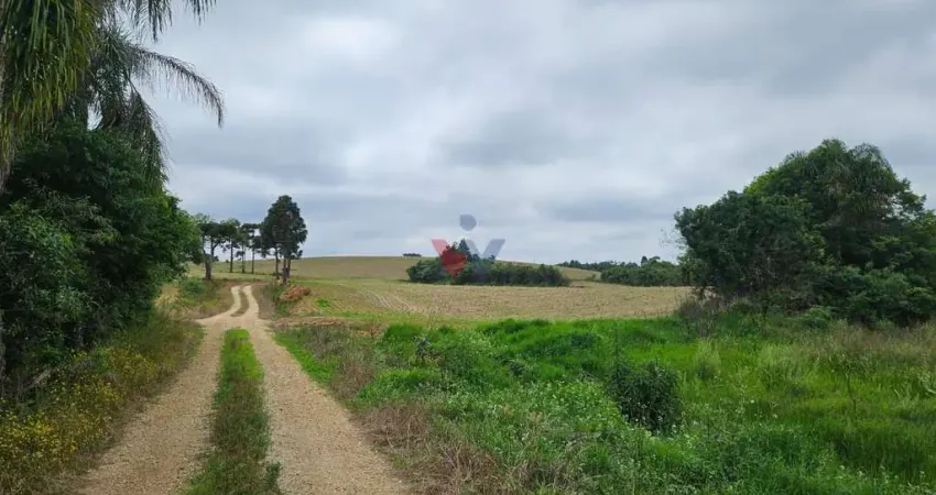 Chácara / sítio com 1 quarto à venda no Centro, Contenda