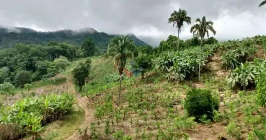 Fazenda / Sítio para venda em Morretes de 33.00m² com 1 Quarto