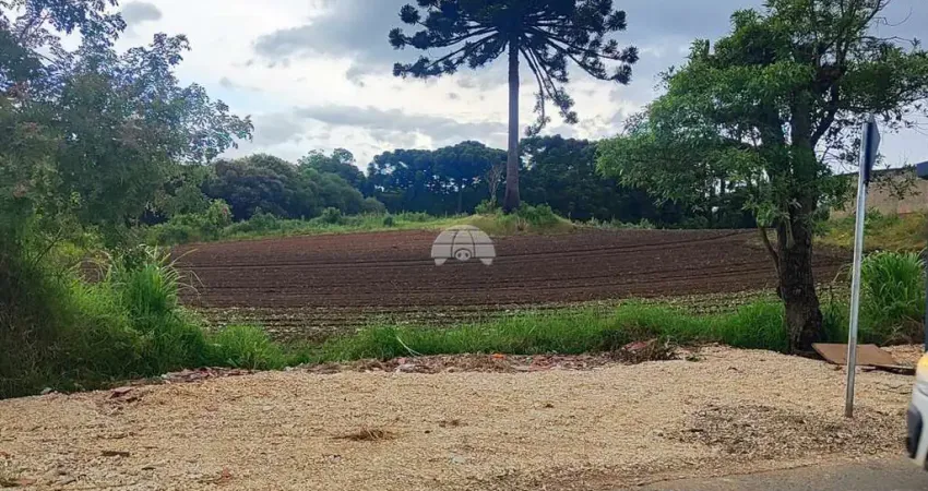 Galpão / Depósito / Armazém para venda em Gabirobal de 4200.00m²