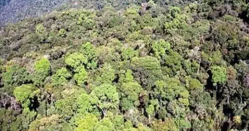 Fazenda / Sítio para venda em Cananéia de 10000000.00m² com 1 Quarto, 1 Suite e 1 Garagem