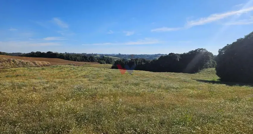 Fazenda / Sítio para venda em Campo Magro de 48400.00m² com 1 Quarto
