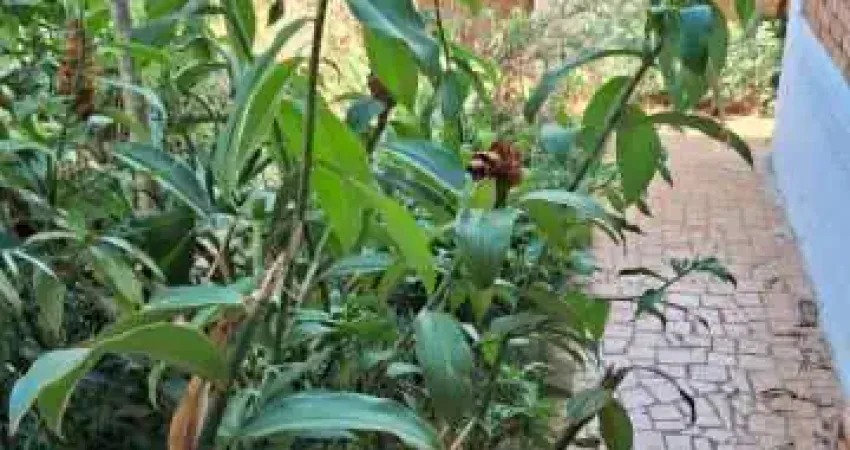 Casa para venda em Jardim América de 500.00m² com 4 Quartos, 1 Suite e 4 Garagens