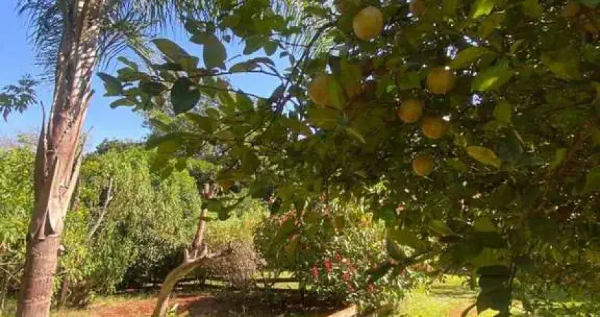 Chácara para venda em Bonfim Paulista de 5000.00m² com 5 Quartos e 1 Suite