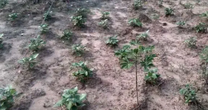 Terreno para venda em Residencial Parque Da Fazenda de 284.00m²