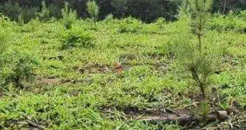 Fazenda / Sítio para venda em Três Córregos de 411400.00m² com 1 Quarto