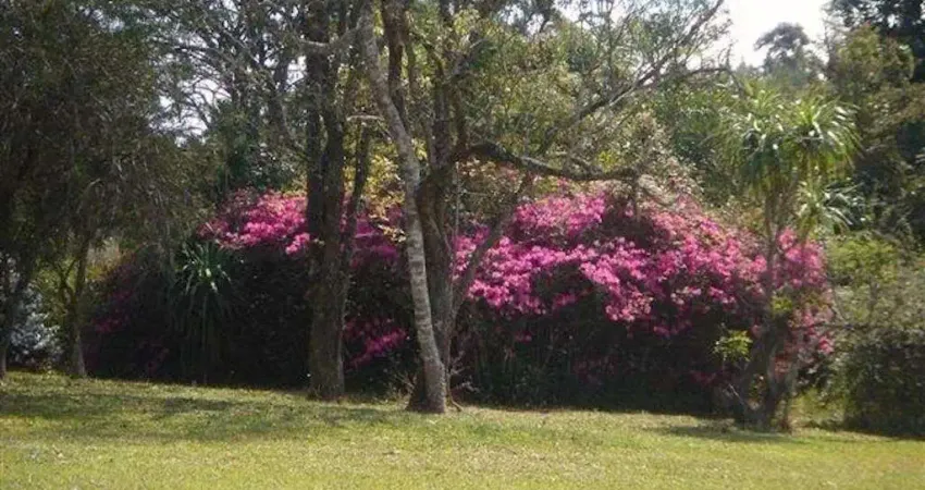 Fazenda / Sítio para venda em Volta Grande (são João Novo) de 300.00m² com 6 Quartos