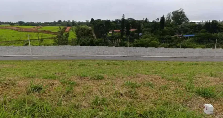 Terreno à venda na Avenida Dom Paulo Rolim Loureiro, Vila Oliveira, Mogi das Cruzes