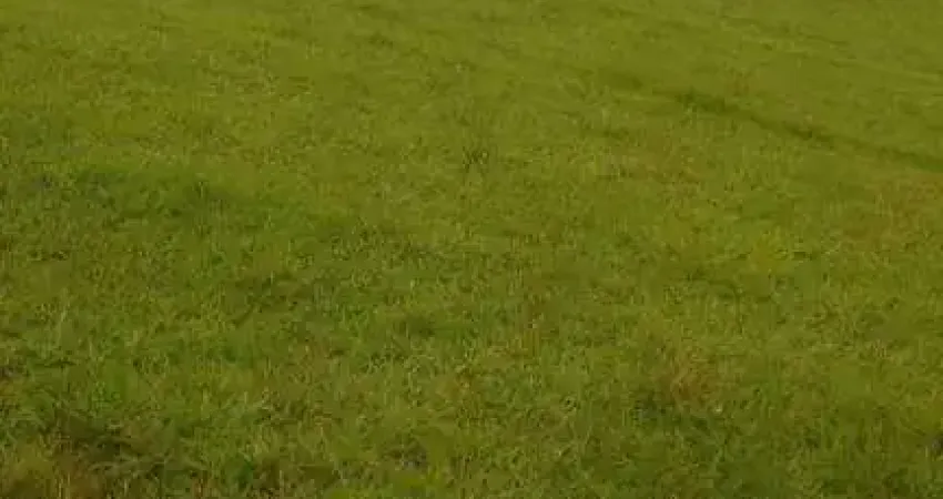 Fazenda / Sítio para venda em Pilar do Sul de 150.00m² com 2 Quartos