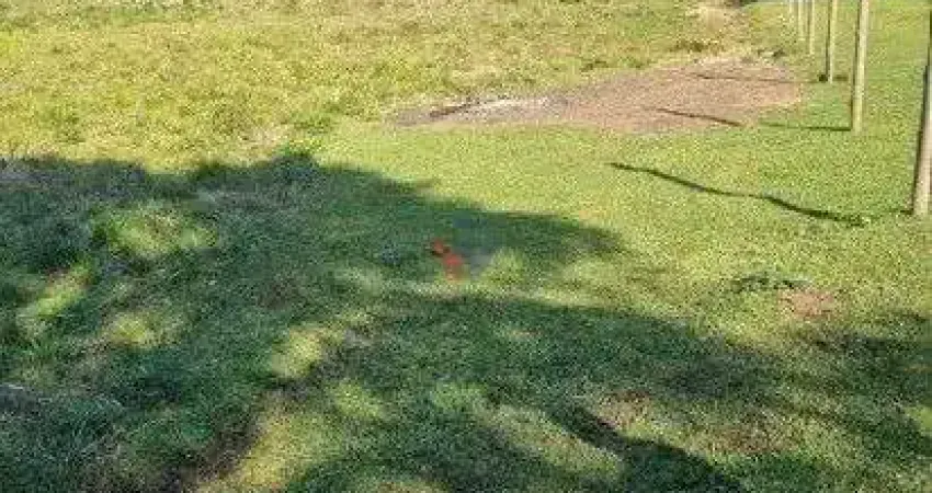 Galpão / Depósito / Armazém para venda em Centro de 49000.00m²