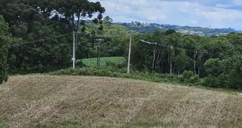 Fazenda / Sítio para venda em Vila David Antônio de 20600.00m² com 1 Quarto