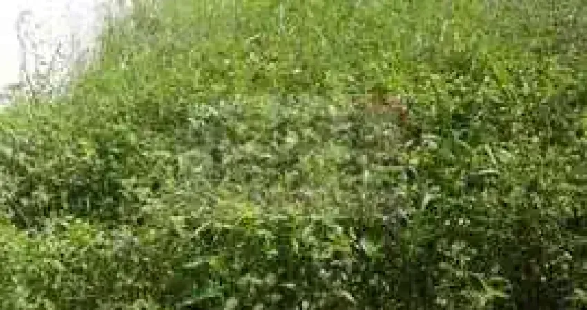 Terreno à venda na Avenida Professora Elba Maria Ramos Pereira, 100, Jardim Hipica Pinheiro, Taubaté