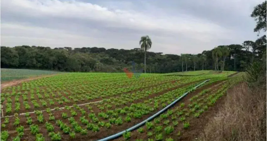 Terreno à venda no Umbará, Curitiba