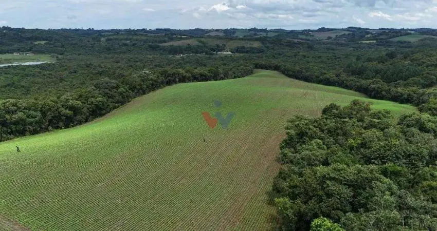 Fazenda / Sítio para venda em Fazenda Velha de 242000.00m² com 1 Quarto