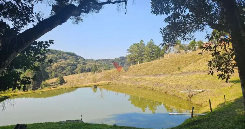 Chácara para venda em Área Rural De São José Dos Pinhais de 200.00m² com 4 Quartos e 8 Garagens