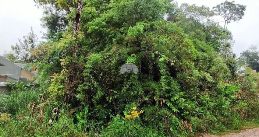 Terreno à venda na Rua da Canafístula, 01, Parque do Embu, Colombo