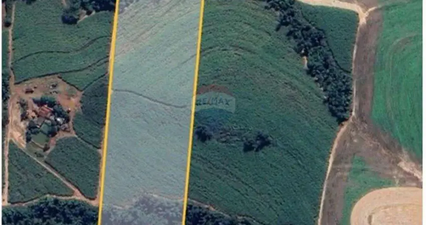 Terreno à venda na Rua Francisco Cezário de Azevedo, N/d, Centro, Cosmópolis