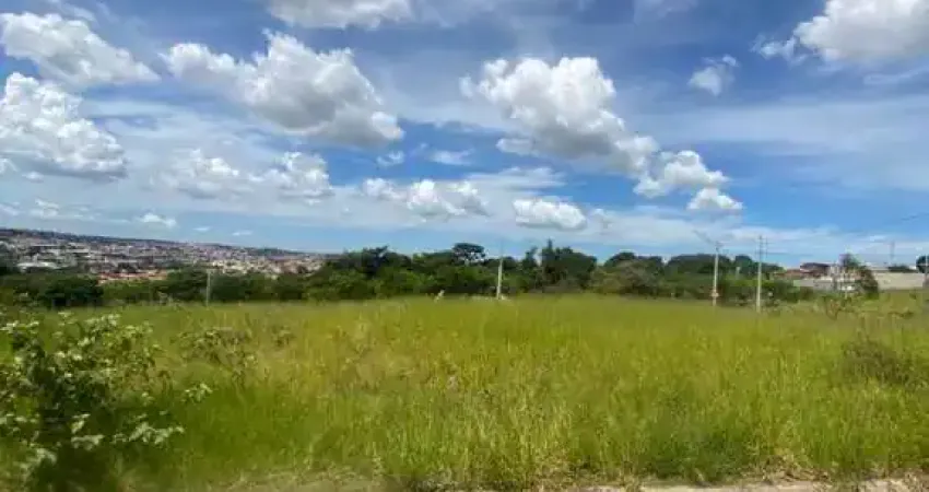 Terreno à venda na Avenida Deputado Luís Eduardo Magalhães, 1760185, Jardim São Judas Tadeu, Campinas