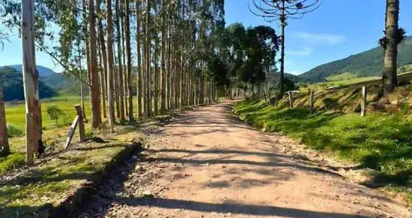 Fazenda / Sítio para venda em Colônia Murici de 2178000.00m² com 7 Quartos