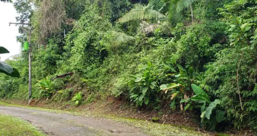Terreno à venda na Praia do Félix (Praia do Lúcio), Ubatuba 
