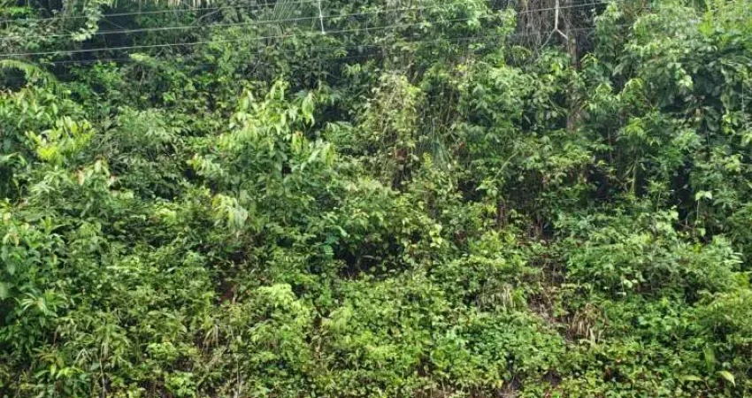 Terreno à venda na Praia do Félix (Praia do Lúcio), Ubatuba 