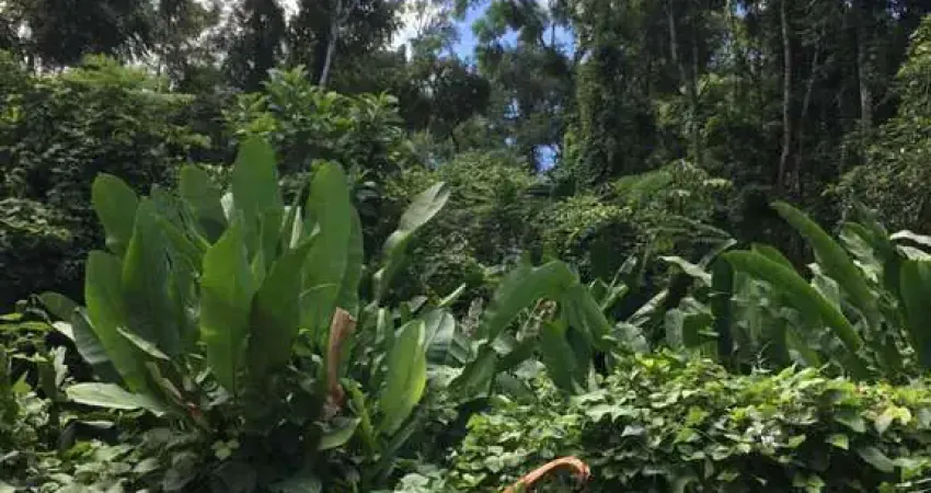 Terreno à venda na Praia do Itamambuca, Ubatuba 