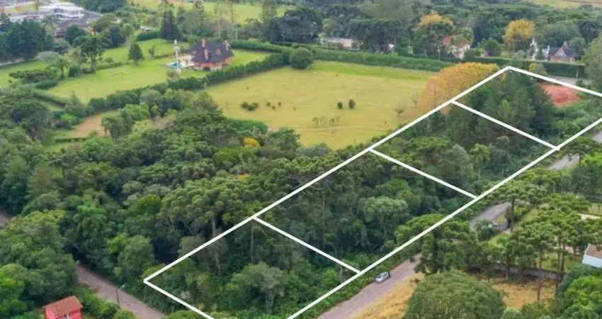 Terreno à venda, 8260 m² por r$ 3.549.000,00 - alphaville graciosa - pinhais/pr