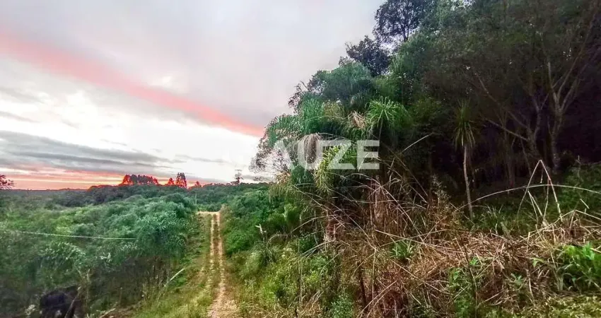 Excelente Oportunidade !!!Chácara à venda, Colônia Murici, São José dos Pinhais, PR