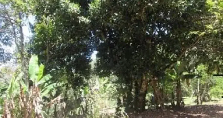 Bragança paulista sítio 46.123 m² com 2 casas antigas abaixo da avaliação