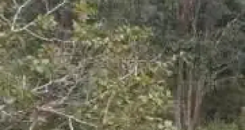 Bragança paulista sítio 46.123 m² com 2 casas antigas abaixo da avaliação