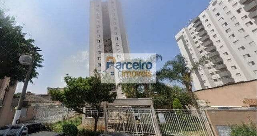 Apartamento para venda, 3 quarto(s),  Vila Antonieta, São Paulo