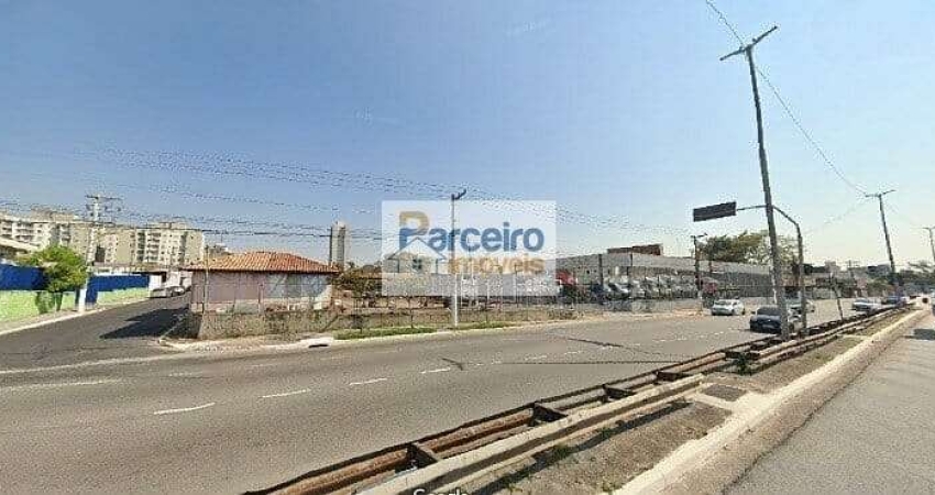 Terreno, 1.500 m² - venda ou alugas - Vila Califórnia - São Paulo/SP