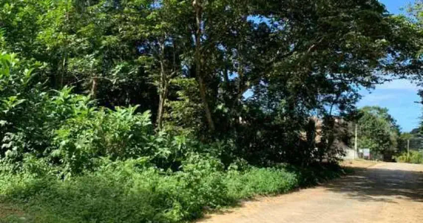 Terreno à venda no Massaguaçu, Caraguatatuba 