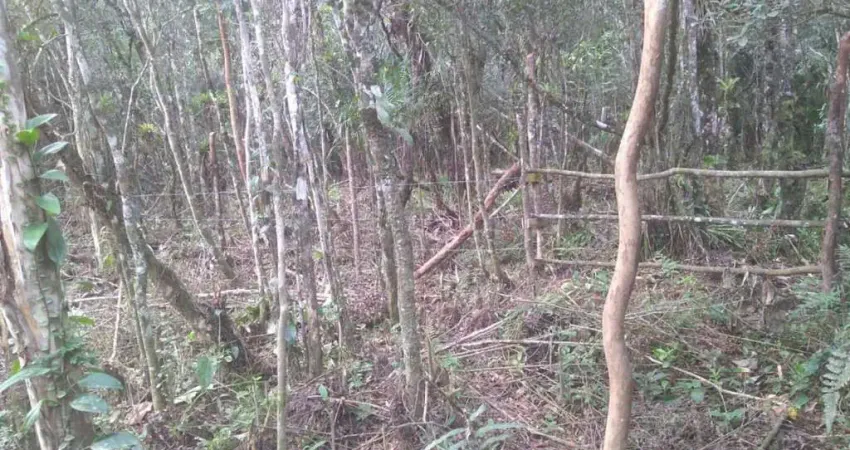 Terreno à venda no Balneário Gaivota, Itanhaém 
