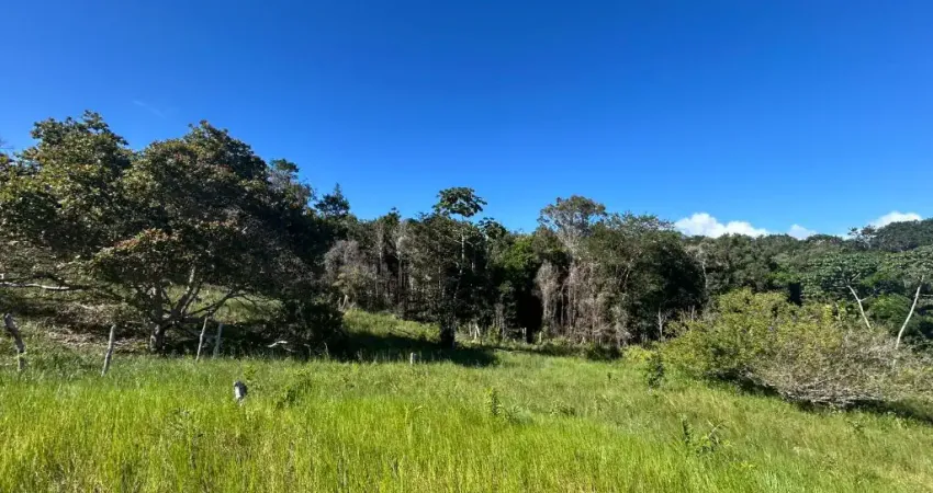 Sítio 38.000 m2 com casa. Terreno Fértil e Nascente de Água!