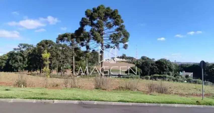 Terreno à venda na Rua João Bernardi Filho, Cadorin, Pato Branco