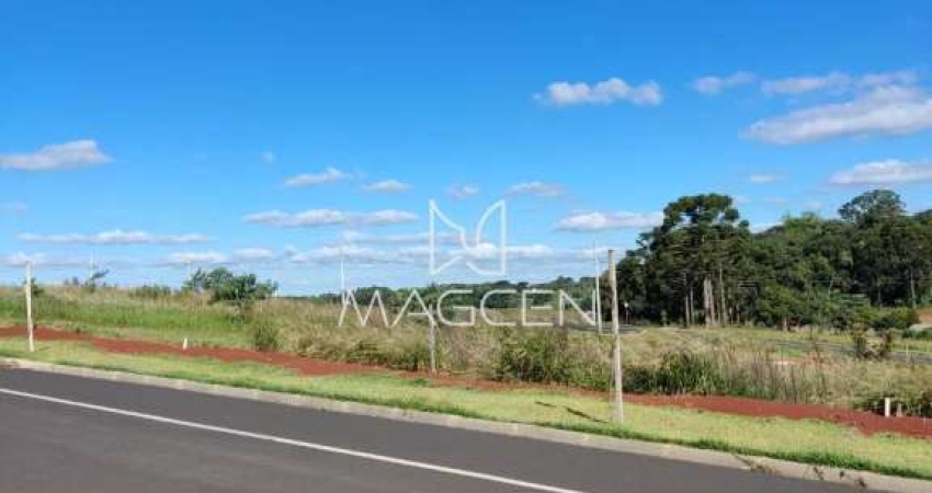 Terreno à venda no Cadorin, Pato Branco 