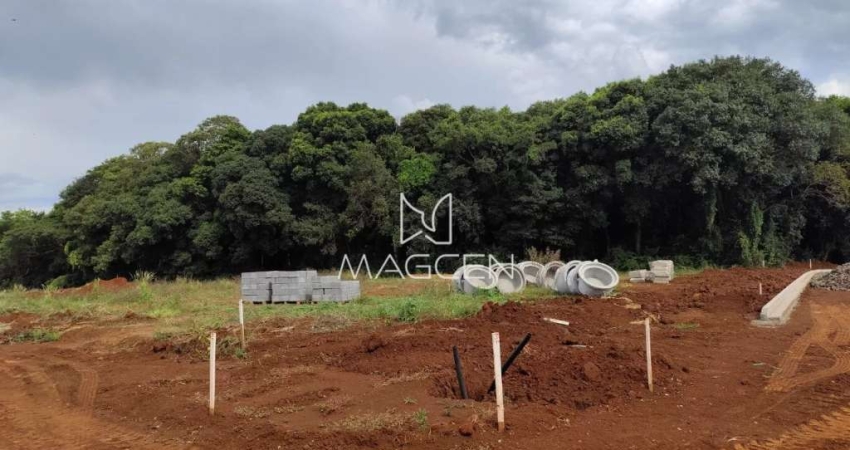 Terreno à venda no Parque do Som, Pato Branco 