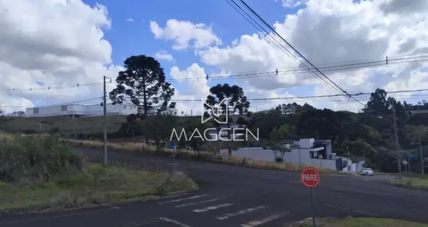 Terreno com possibilidade de comercial ou residencial  - te544