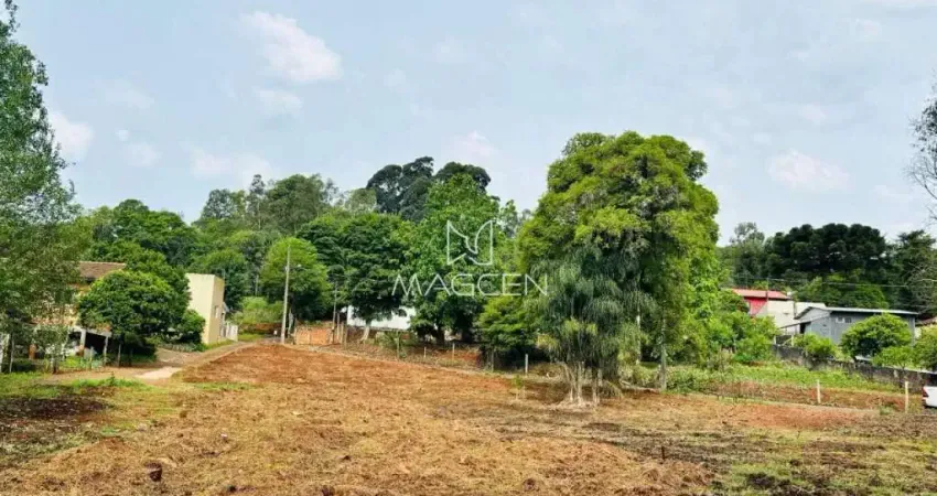 Chácara / sítio à venda no Pagnoncelli, Pato Branco 