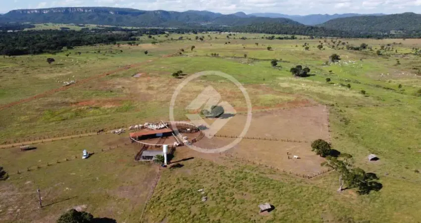 Fazenda à venda – 695,50 hectares – cuiabá/mt – localização privilegiada na pista dupla codigo: 157099