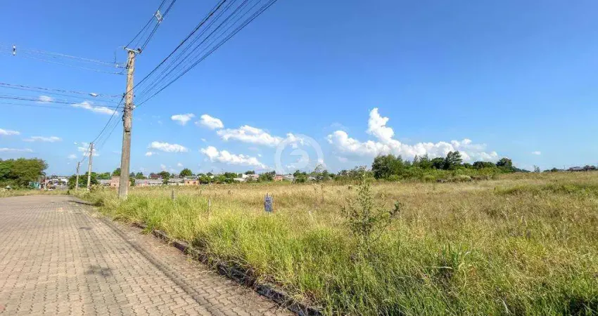 Terreno à venda em Estância Velha, Campo Grande, com 250 m²