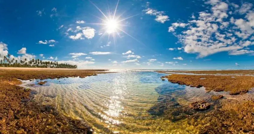 Iberostate casas - apartamento alto padrão em praia do forte, mata de são joão/ba