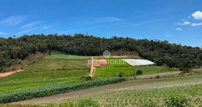 Sítio com 3 dormitórios à venda, 250000 m² por r$ 1.800.000,00 - vieira - teresópolis/rj