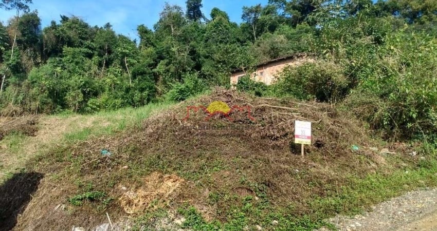 Terreno à venda no Boehmerwald, Joinville 