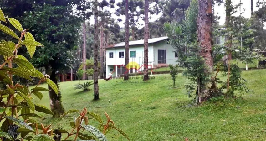 Chácara / sítio com 2 quartos à venda no Rio Vermelho, Campo Alegre 