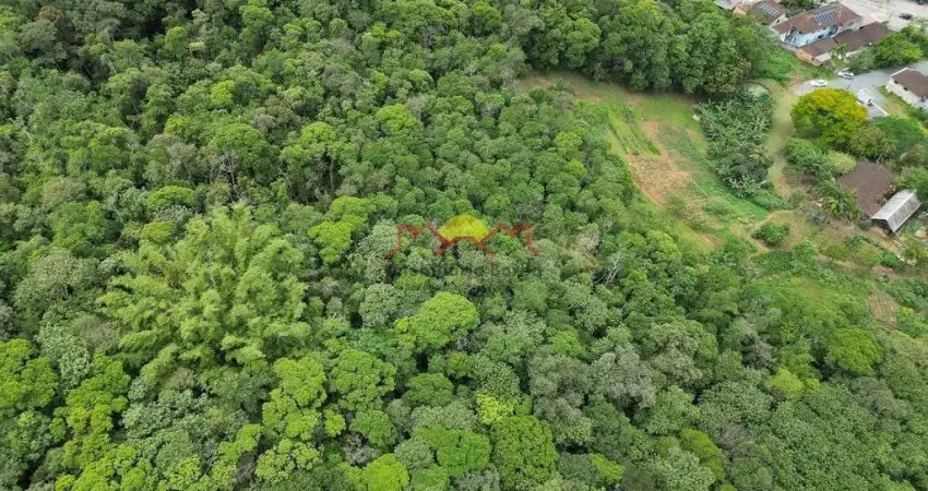 Terreno à venda no Boehmerwald, Joinville