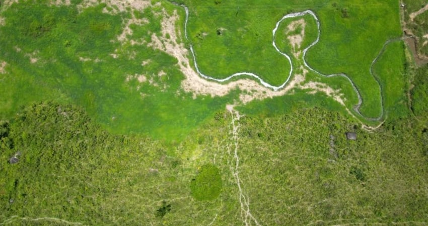 Fazenda com 32 Hectares em União dos Palmares