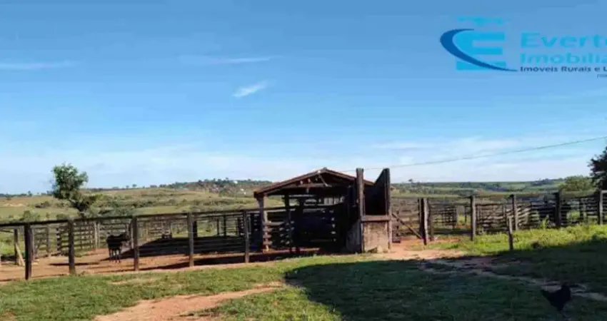 Fazenda à venda na Zona Rural, João Pinheiro 