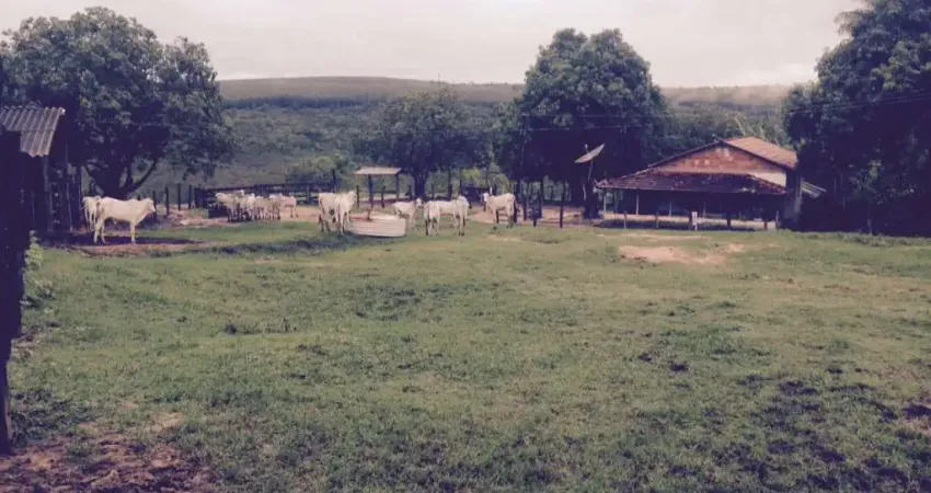 Excelente fazenda com carvoaria em Presidente Olegário-MG contendo  310 hectares  ou seja, 64,04 alqueires;